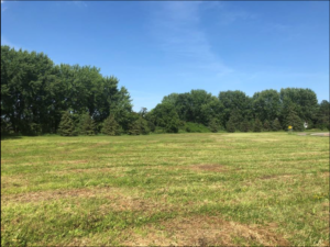 Prime Commercial Site in Lakeville MN - 2.5 acres-04