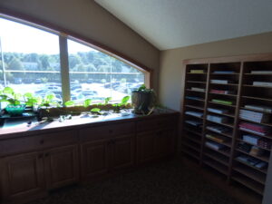 professional office condo lakeville