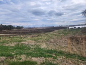 rail served industrial land